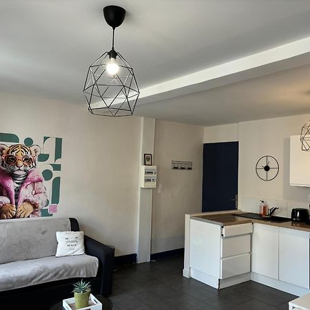 Spacieux, Climatise, Quartier Calme, Proche Chateau, Le Cocon De Joy Carcassonne Bagian luar foto